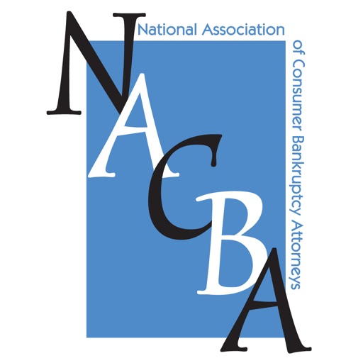 NACBA 2013 Workshop icon
