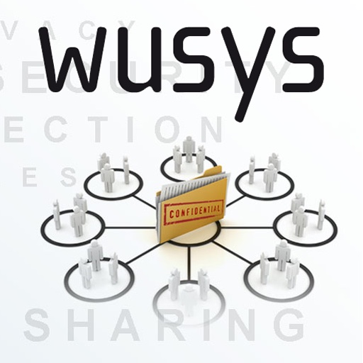 Wusys icon
