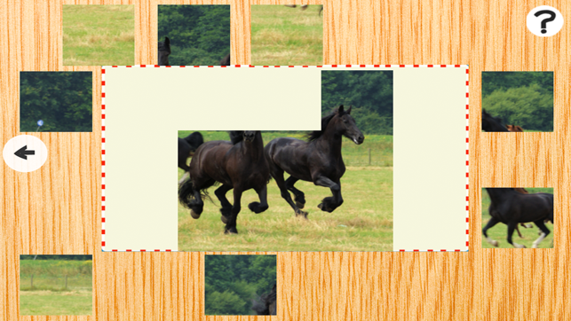 Animated Animal Puzzle With Ponies and Running Horses For Ki(圖4)-速報App