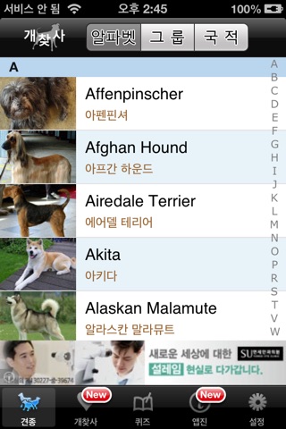 개찾사 – Dog Finder screenshot 2