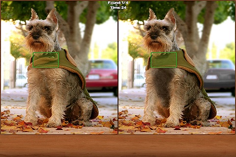 Dogs Spot the Difference
