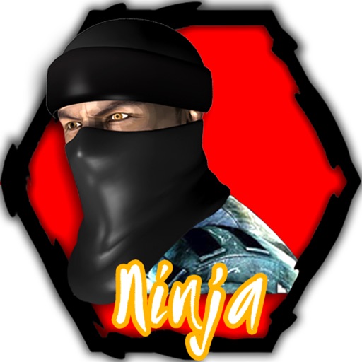 Ninja Returns icon