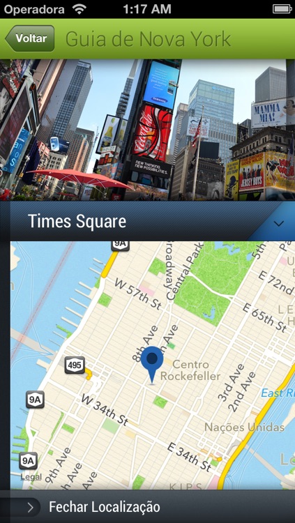 Guia de Nova York screenshot-3