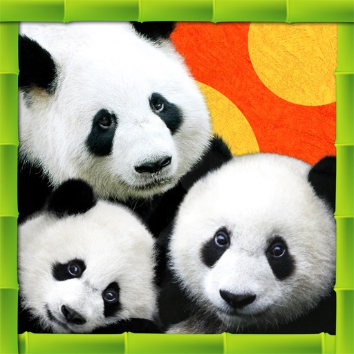 三只熊猫 (The Three Pandas, Chinese version)