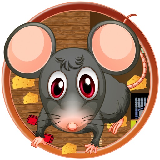 Tap A Rat PRO Super Awesome Smashing Challenge - Fun Adventure For Girls & Boys You And Your Friends Icon