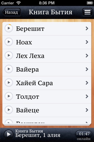 АудиоТора screenshot 3