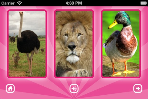 GRoink: fun puzzle game with animal sounds screenshot 4