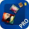 Photo Waterfall Pro - Amazing Photo Slideshows!