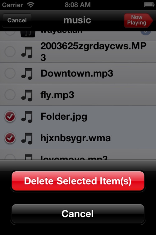 MP3 Player - (NO iTunes Sync + Lyrics Display)