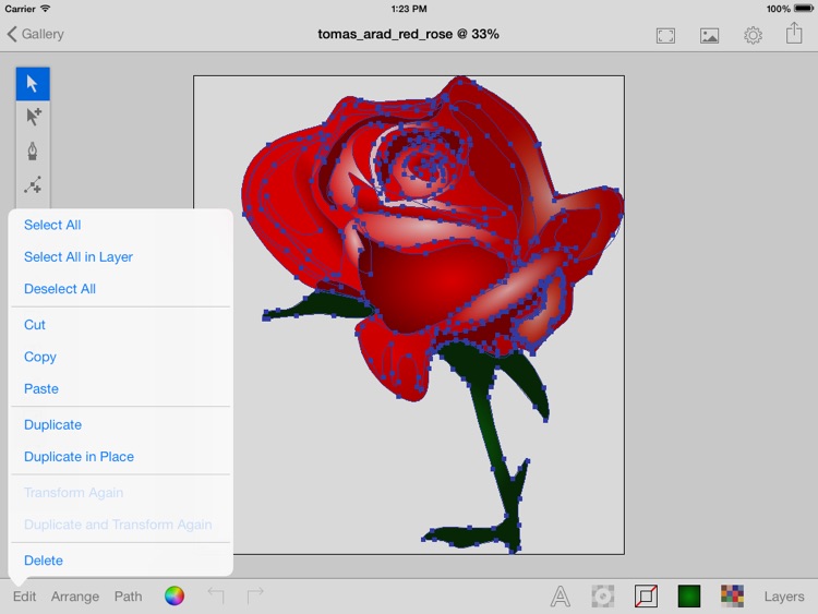 Vector Illustrator + DropBox