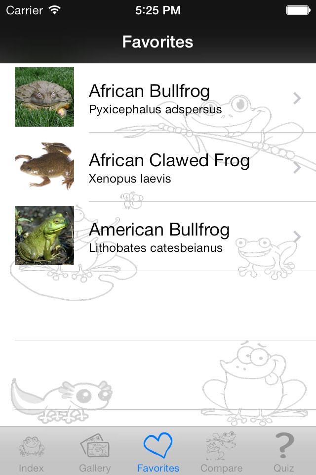 My Favorite Froggy screenshot 2