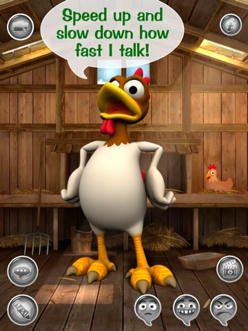Hello Talky Chip! HD FREE - The Talking Chicken screenshot 4