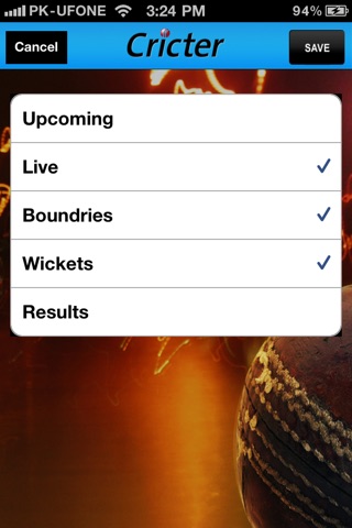 Cricter screenshot 4