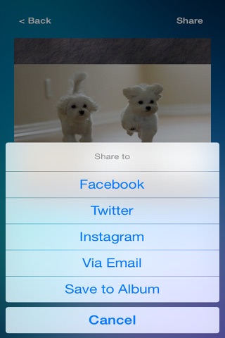 Fit My Pic - Resize Photos to Fit the Instagram Square Size screenshot 4
