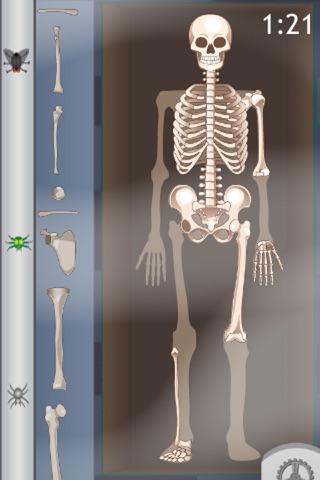 D. Bones screenshot 3