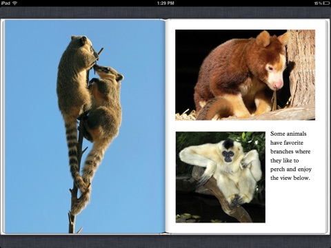 Rainforest Animals by Snapshot Picture Library on Apple Books