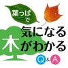 葉っぱで気になる木がわかる Q&Aで見分ける 350種 樹木鑑定