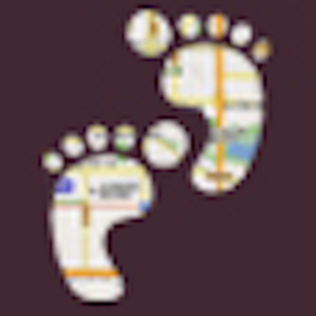 Footprint icon