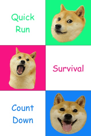 Doge Tap Colors screenshot 2