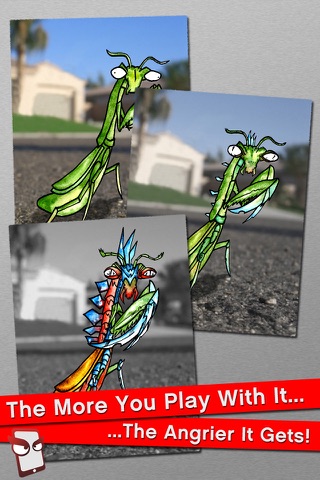 AngryBugs Free - The Angry Bug Simulator screenshot 2