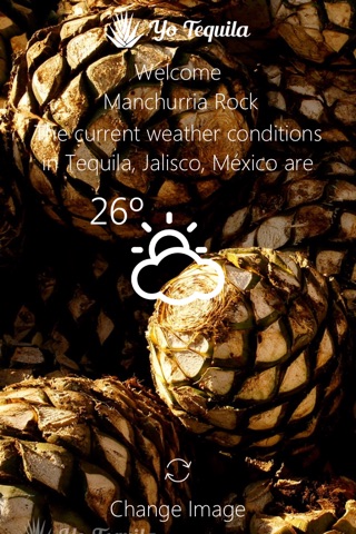 Yo Tequila screenshot 2