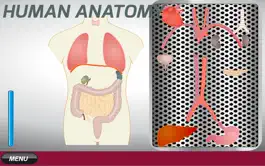 Game screenshot Human Anatomy Game hack