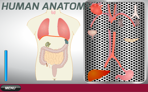 Human Anatomy Game screenshot 3