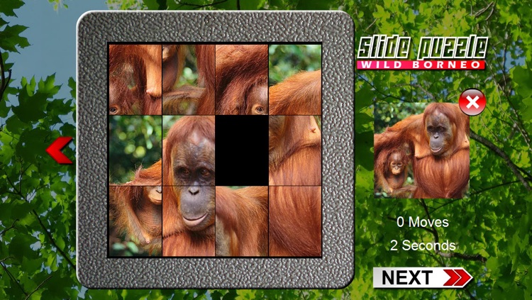Slide Puzzle Borneo (The land below the Wind)