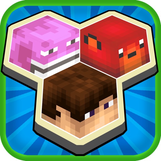 Match The Skins - Pixel World Game Mine-Craft Edition 3D FREE icon