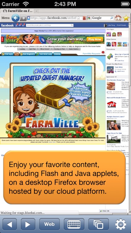 Cloud Browse - Web Browser for Flash & Java