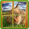 Cats Slidy Puzzle - sliding puzzle for kids