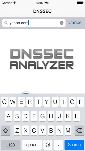 DNSSEC ANALYZER