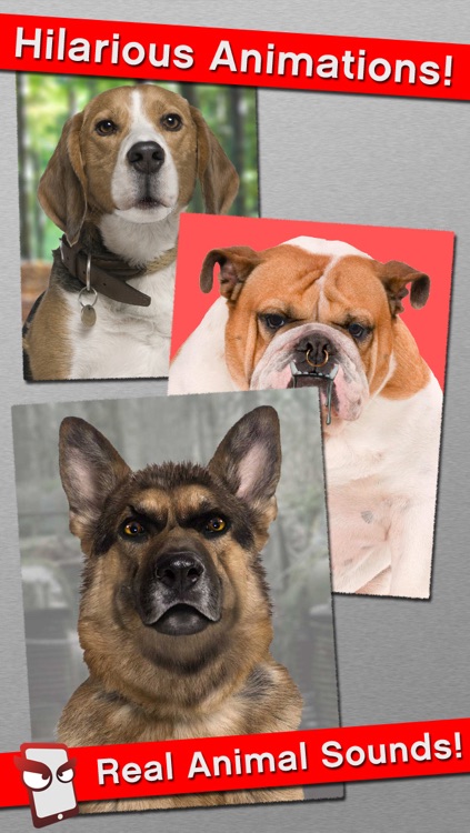 AngryDog Free - The Angry Dog Simulator screenshot-3