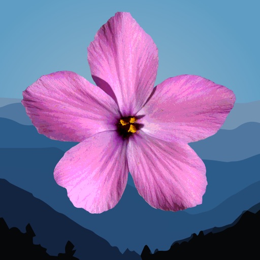 GSM Wildflowers icon