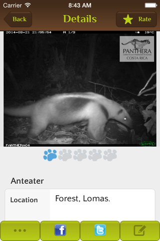 Real Time Wildlife Sightings from the Path of the Jaguar screenshot 3