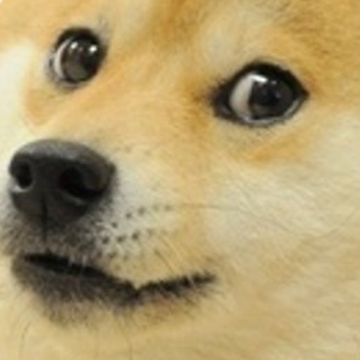 dogeface Icon