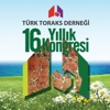 Toraks 2013