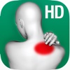 Free from Back Pain with Acupressure (with HD Videos)