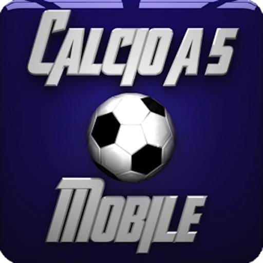 Calcio a 5 3D icon