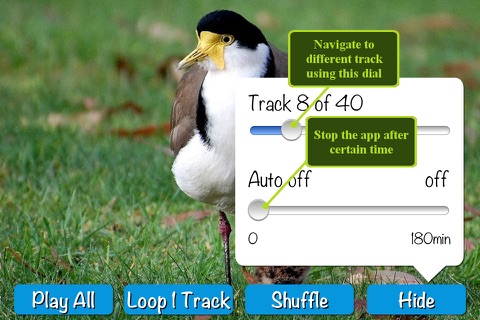 40 Bird's Calls & Songs screenshot 3