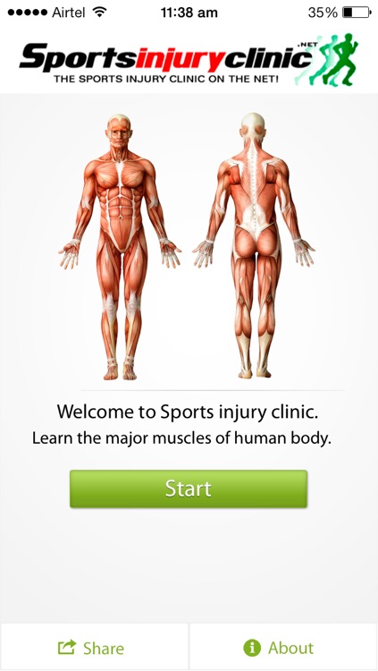 Human Muscles Quiz From Sportsinjuryclinic Net By Virtual Sports Injury Clinic