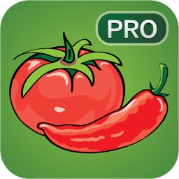 Salsa Pro - Spanish Language Learning Game