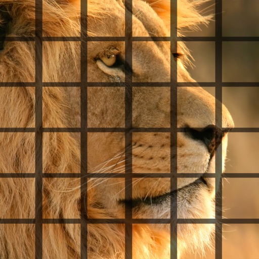 Lion Puzzles for iPhone icon