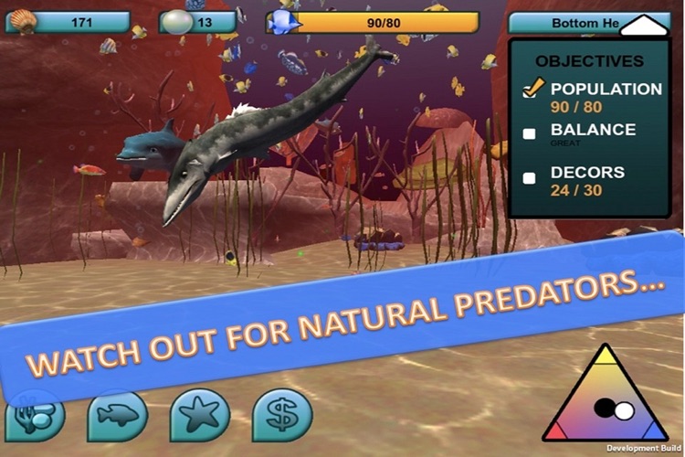 The Dolphin Ocean Rescue