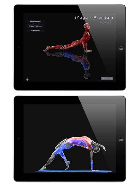 iYoga - Premium