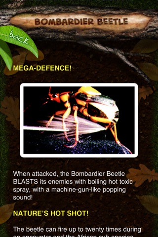 Megabugs Return! screenshot 3