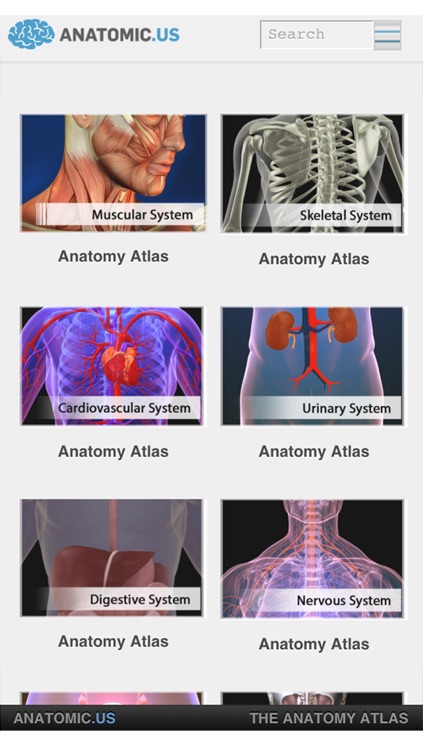 Anatomy Atlas Anatomicus