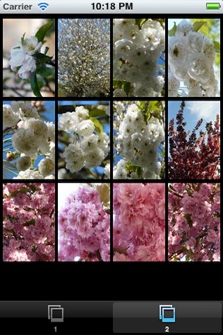Cherry Blossom Wallpaper Free screenshot 3