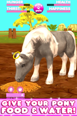 Virtual Pet Pony screenshot 3