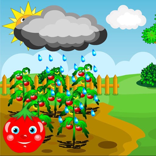 Uncover Tomato iOS App